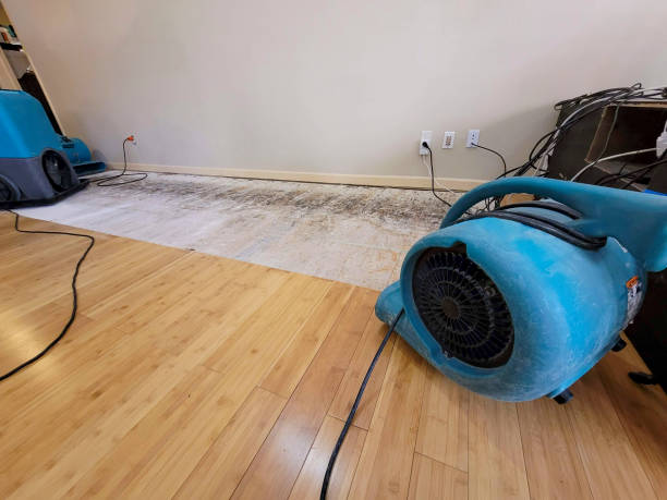 Professional Water Extraction technician working in Santa Clarita, CA